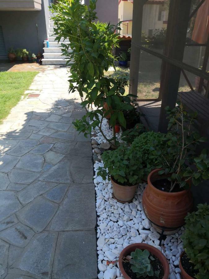 Menta Apartment Nea Iraklitsa ภายนอก รูปภาพ